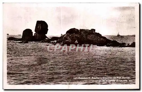 Ansichtskarte AK Roscoff Rochers bizzarres de Per Haridy