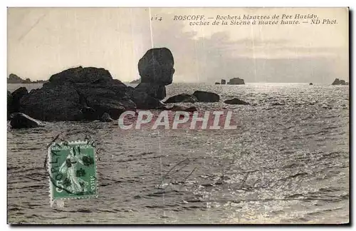 Cartes postales Roscoff Rochers bizarres de Pez Haridy rocher de la Sirene a maree haute Sphinx