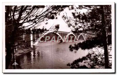 Cartes postales Brest Pont de Plougastel Daoulas a travers les sapins