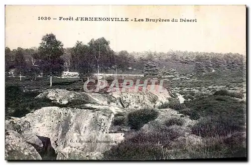 Ansichtskarte AK Foret d Ermenonville Les Bruyeres du Desert