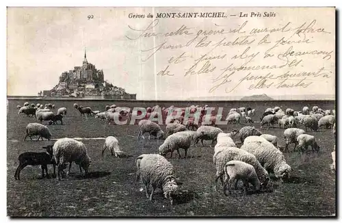 Cartes postales Greves du Mont Saint Michel Les Pres Sales Moutons Sheep