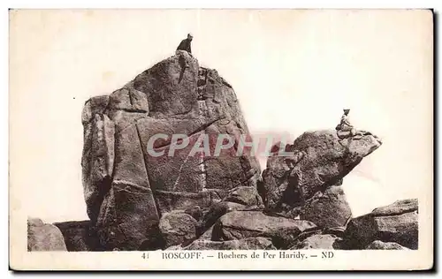 Cartes postales Roscoff Rochers de Per Haridy