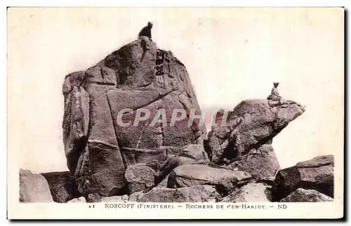 Ansichtskarte AK Roscoff Finistere Rochers De Per Harioy