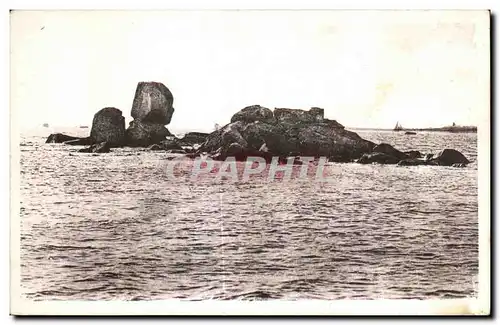 Cartes postales Roscoff Rochers bizarres de Pel Haridy Rocher de la petit bretonne