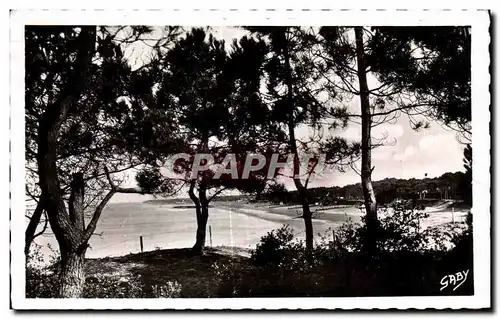 Cartes postales Saint Brevin L Ocean Vue d Ensemble de la Plage sous les Pins