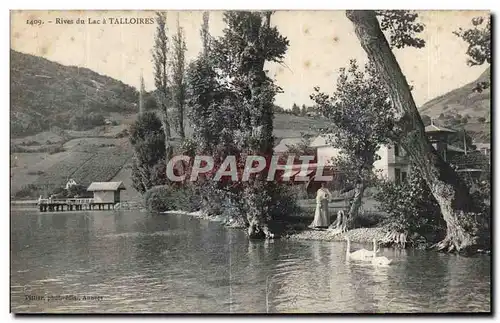 Ansichtskarte AK Rives du lac a Talloires Cygne Swan