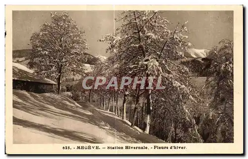 Ansichtskarte AK Megeve Station Hivernale Fleurs d Hiver