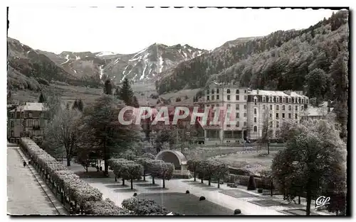 Cartes postales Le Mont Dore Le Saney Le Parc et L Hotel des Sapins