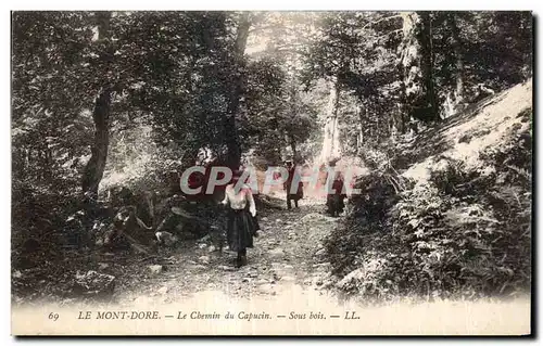 Ansichtskarte AK Le Mont Dore Le Chemin du Capucin Sous bois