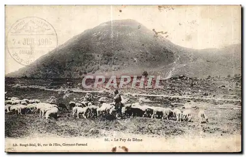 Cartes postales Le Puy De Dome Moutons Sheep Berger