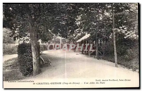 Ansichtskarte AK Chatel Guyon Une allee du Parc