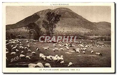 Ansichtskarte AK L Auvergne Le Puy De Dome Moutons Sheep