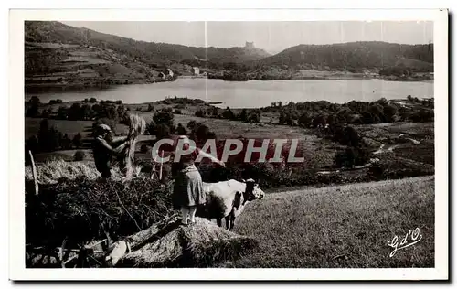 Ansichtskarte AK L Auvergne Le Lac Chambon Vaches Paysans