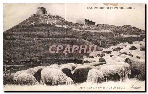 Cartes postales Le Sommet du Puy de Dome Moutons Sheep