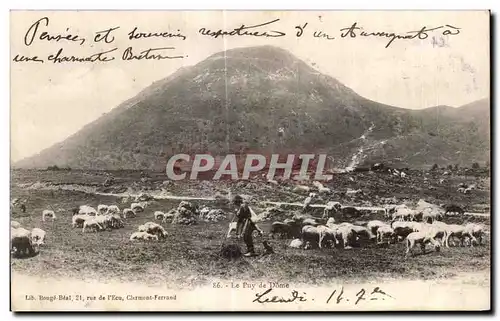 Ansichtskarte AK Le Puy de Dome Berger et moutons