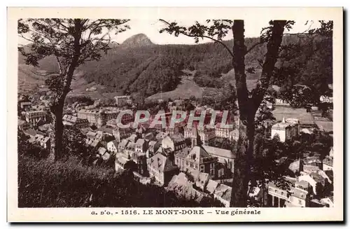 Cartes postales Le Mont Dore Vue generale