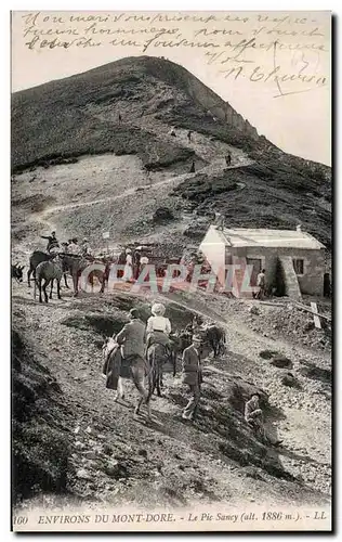 Ansichtskarte AK Environs Du Mont Dore Le Pic Sancy Ane Donkey