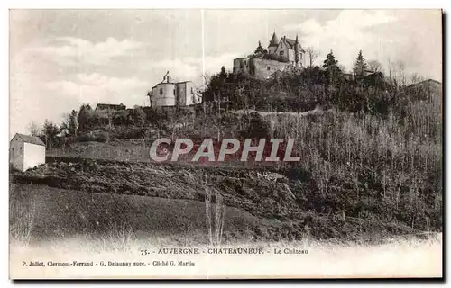 Cartes postales Auvergne Chateauneuf Le Chateau