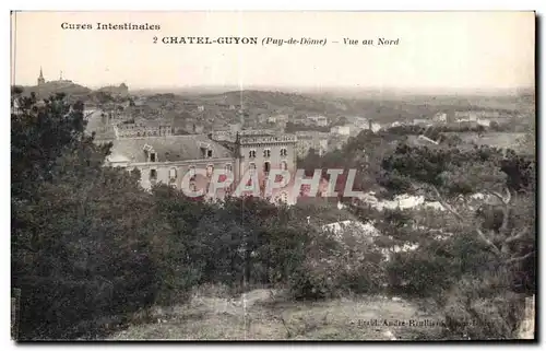 Cartes postales Cures Intestinales Chateau Guyon (Puy de Dome) vue au Nord