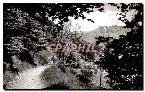 Cartes postales La Mont Dore Sancy (Puy de Dome) Echappe sur la Vallee Au fond le Sancy