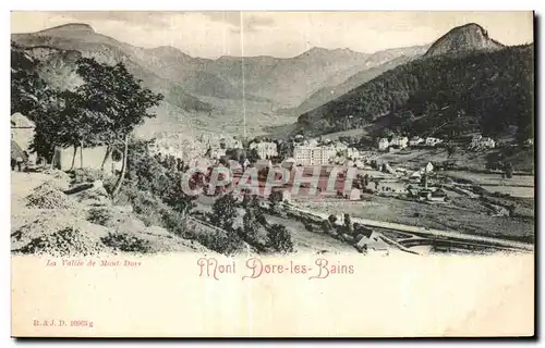 Cartes postales Mont Dore les Bains La vallee du Mont Dore