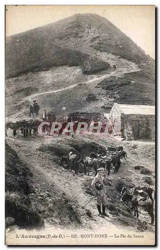 Ansichtskarte AK L Auvergne Mont Dore Le Pic du Sancy Ane Donkey