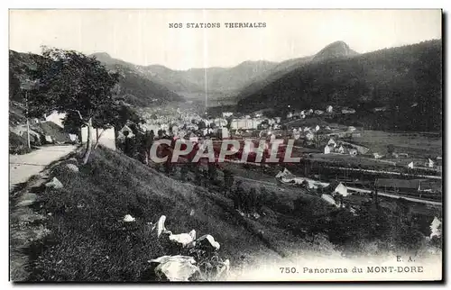 Cartes postales Panorama du Mont Dore