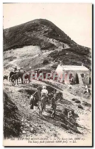 Cartes postales Du Mont Dore Le Pic Sancy The Sancy peak Ane Donkey