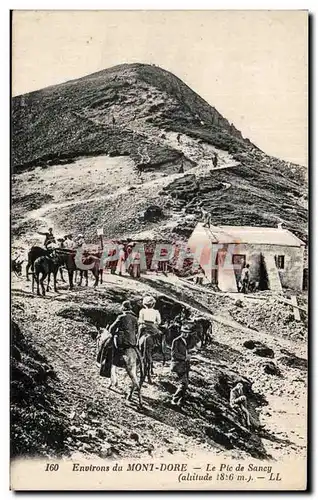 Cartes postales Environs du Mont Dore Le Pic de Sancy Ane Donkey