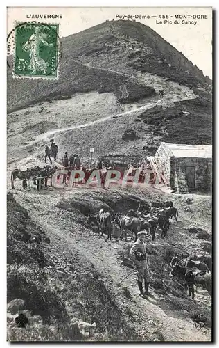 Cartes postales L Auvergbe Puy de Dome Mont Dore Le Pic du Sancy Ane Donkey