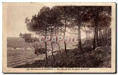 Cartes postales Environs de Plougasnou Vue prise du Bois de sapins du Guerzit