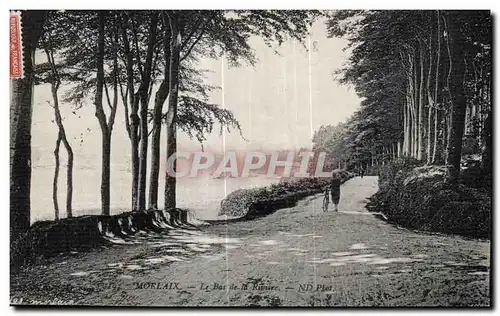 Cartes postales Morlaix Le Bas de la Riviere