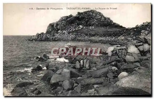 Cartes postales Environs de Plougasnou Tregastel primel La Pointe de Primel