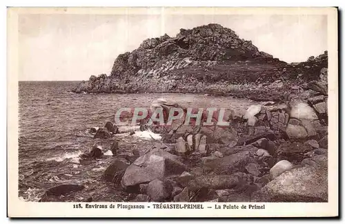 Cartes postales Environs de Plougasnou Tregastel primel La Pointe de Primel
