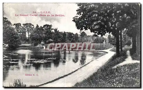Cartes postales Lille Le Grand Carre ( Bois de la Deule)