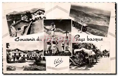 Ansichtskarte AK Souvenir Pays basque Boeufs Attelage