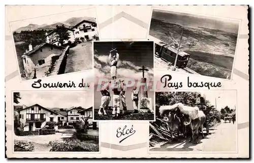 Cartes postales Souvenir Pays basque Boeufs Attelage