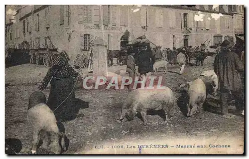 Ansichtskarte AK Les Pyrenees marche aux Cochons Pigs