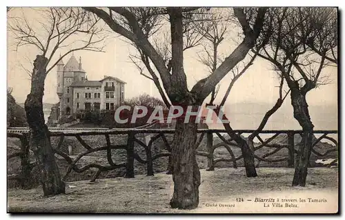 Ansichtskarte AK Biarritz a travers les tamaris la Villa Beiza
