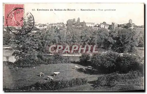 Cartes postales Environs de Salies de Bearn Sauveterre Vue generale