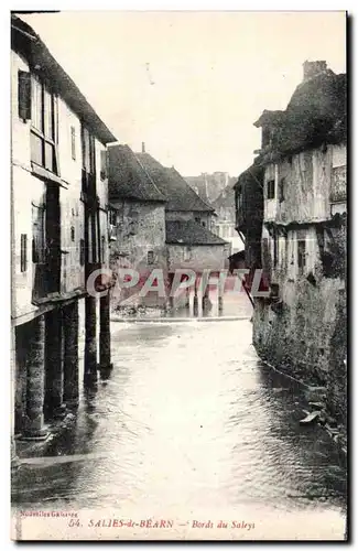 Cartes postales Salies de Bearn Bords du Saleys