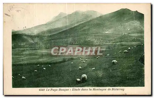 Cartes postales Le Pays Basque Etude dans la Montagne de Bidarray