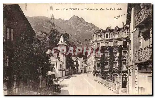 Cartes postales Cauterets L Avenue du Mamelon Vert