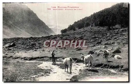 Cartes postales Les Hautes Pyrenees Bareges Plateau De Lienz Berger et vaches