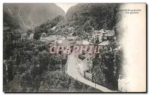 Cartes postales St Sauveur les Bains Vue generale