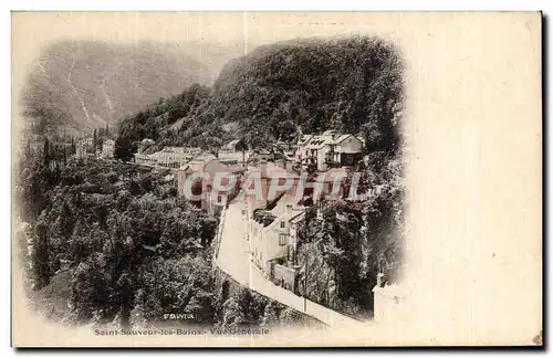 Cartes postales Saint Sauveur Les Bains Vue Generale