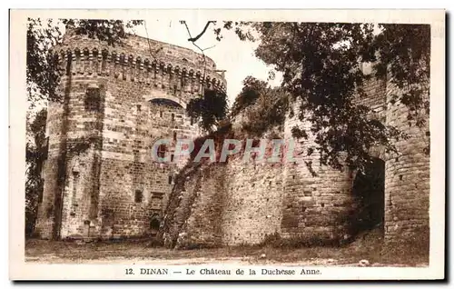 Cartes postales Dinan Le Chateau de la Duchesse Anne