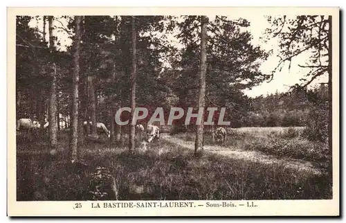 Cartes postales La Bastide Saint Laurent Sous Bois Vaches