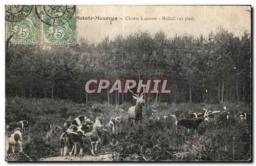 Cartes postales Pont Sainte Maxence Chasse a Courre Hallais sur pieds Hunting