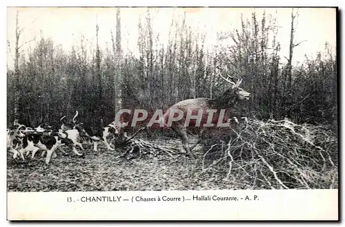 Ansichtskarte AK Chantilly Hallali Courante Chasse a courre Hunting Chiens Cerf